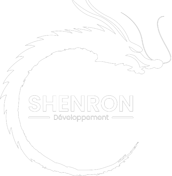 Shenron Logo nice développement formation