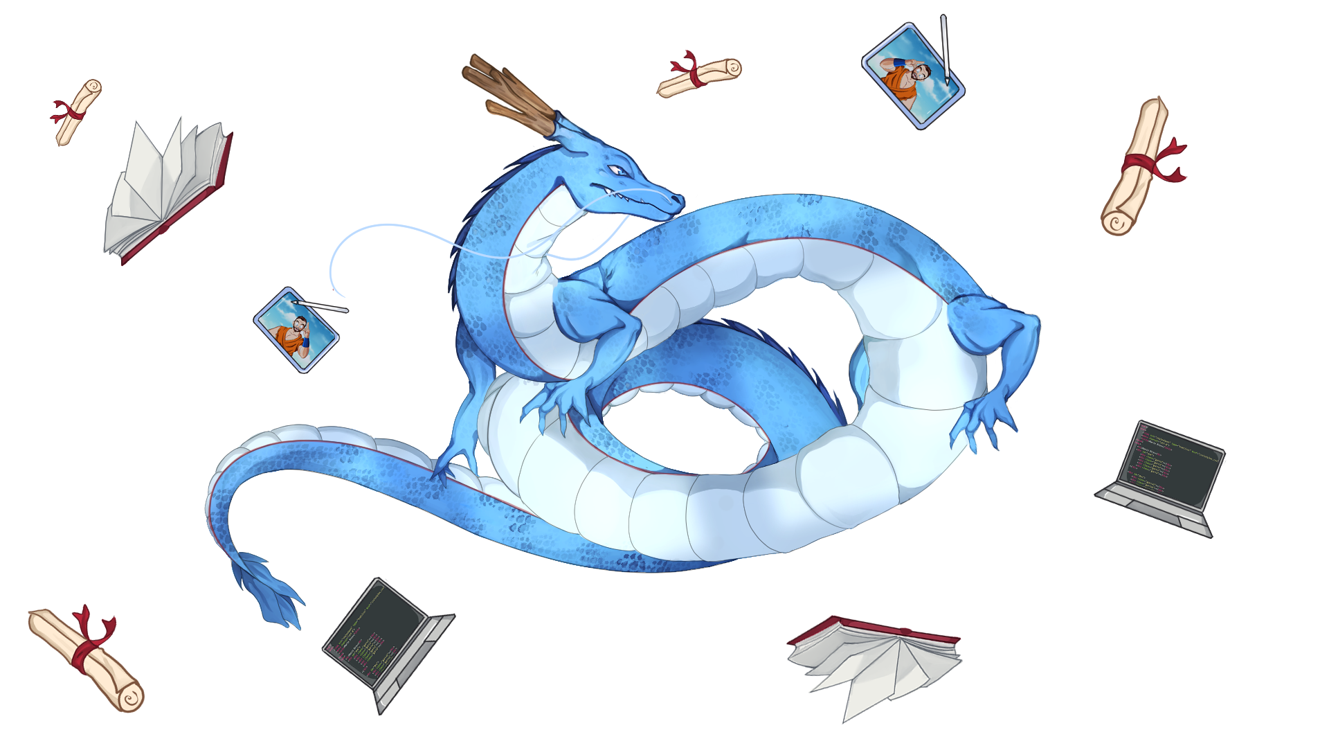 shenron-developpement-communication-formation